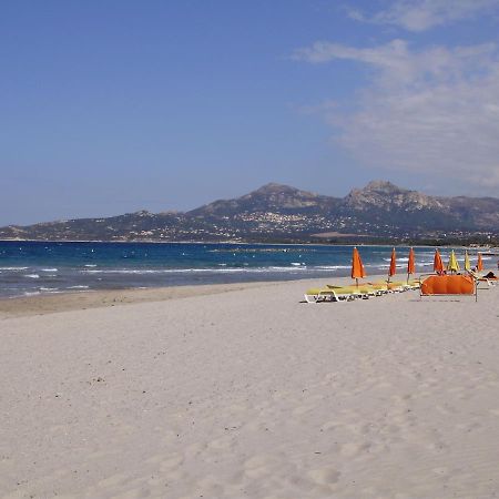 Appartement F1 Calvi A 150 Metres De La Plage Buitenkant foto