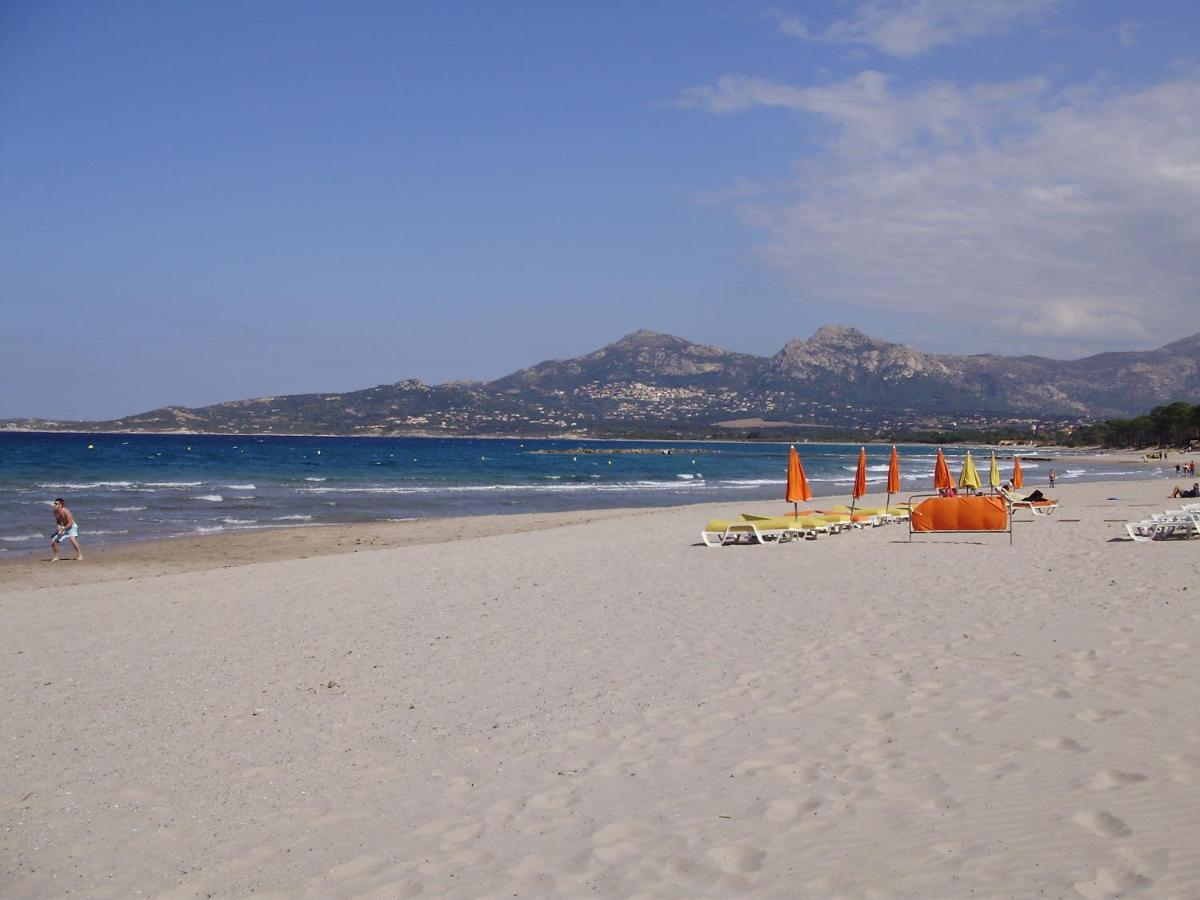 Appartement F1 Calvi A 150 Metres De La Plage Buitenkant foto