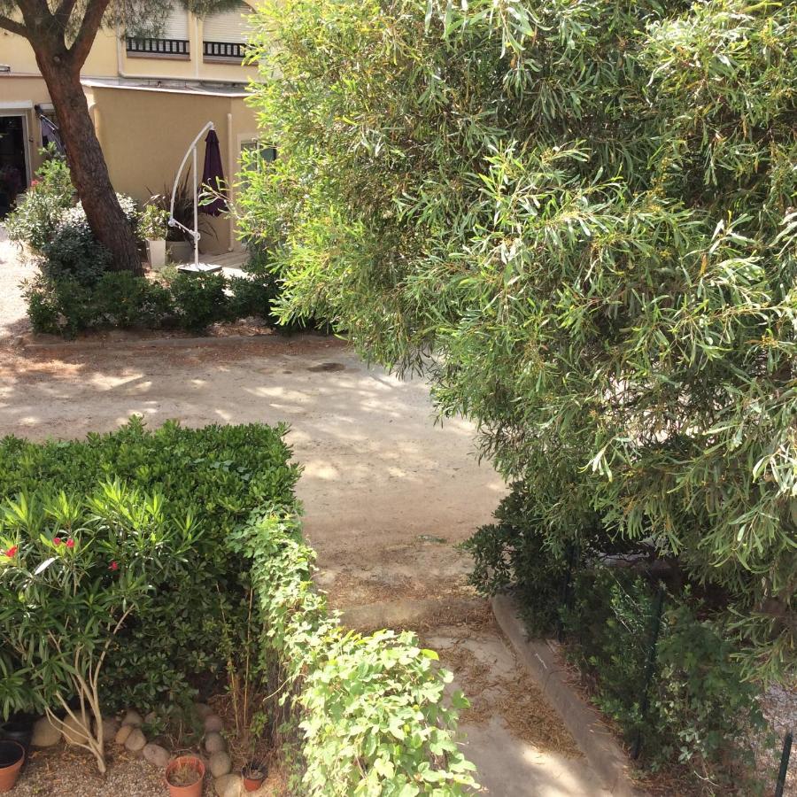 Appartement F1 Calvi A 150 Metres De La Plage Buitenkant foto